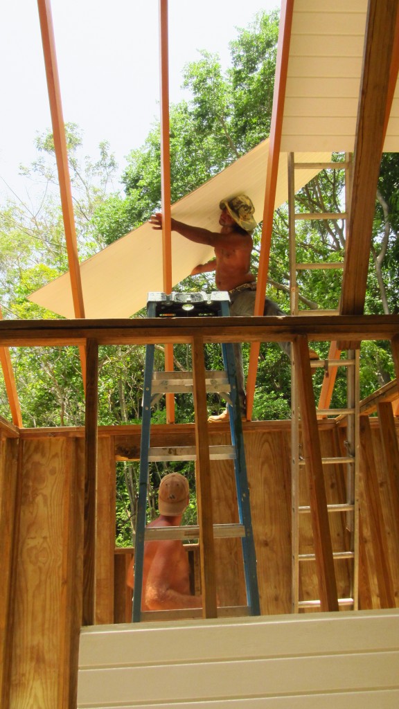 Putting up roofing panels