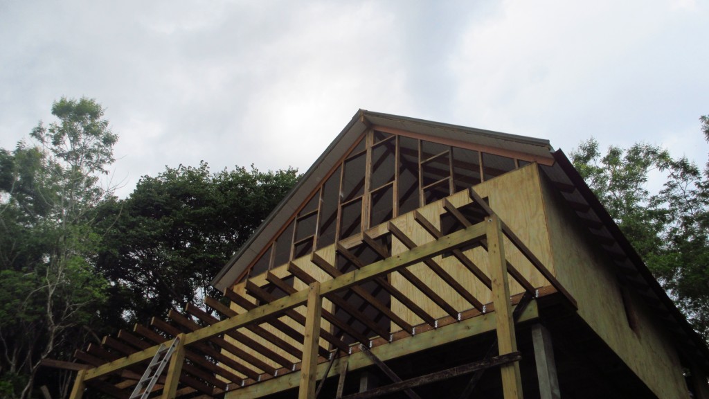 Looking up at house