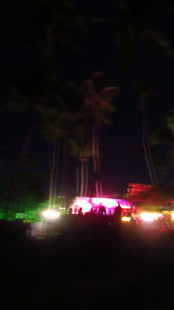 Music and palms from the beach