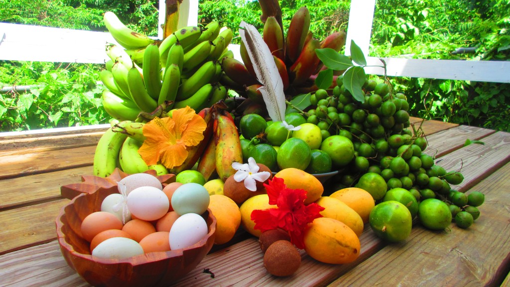 Bounty of the finca 1