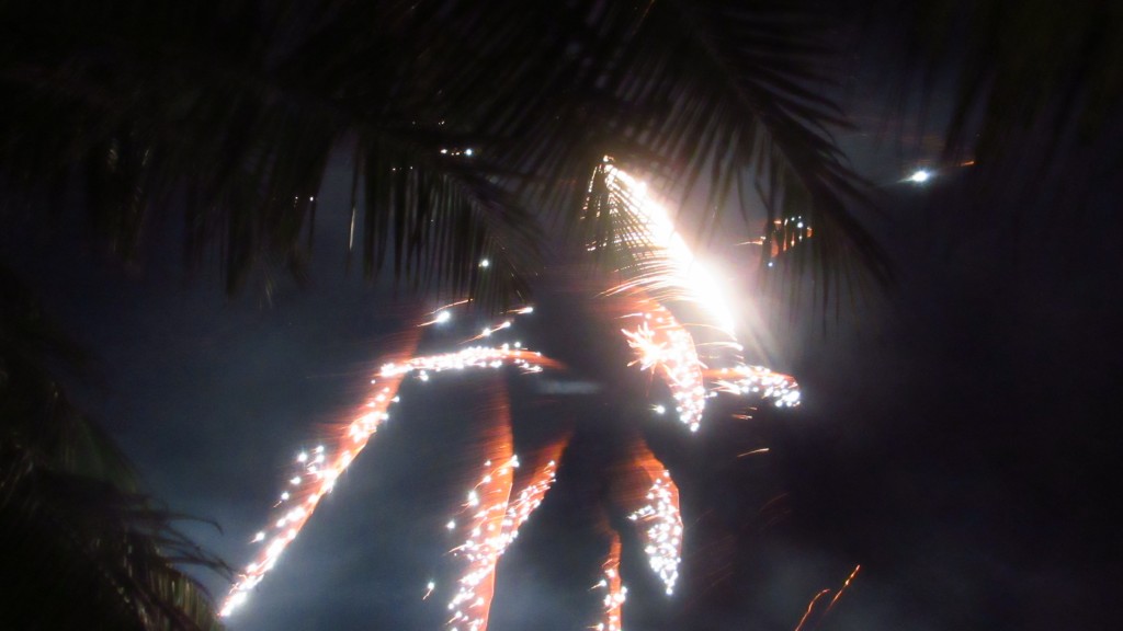 Fireworks beneath the palms