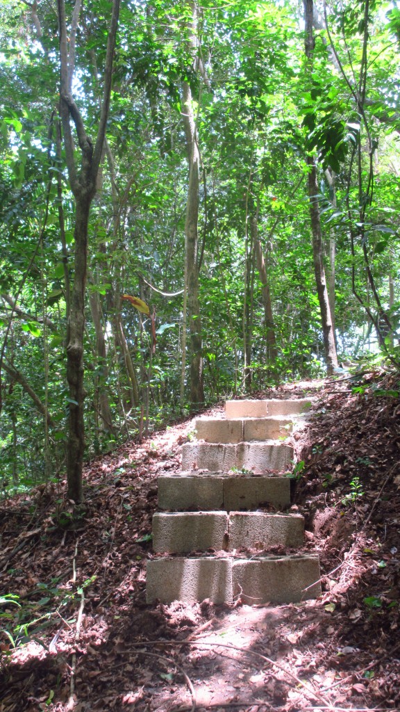 Cinder block steps