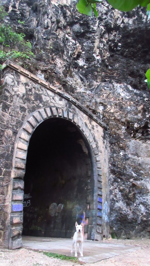 Guajataca tunnel