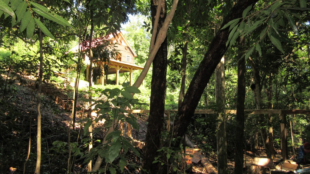 Cabin and bridge