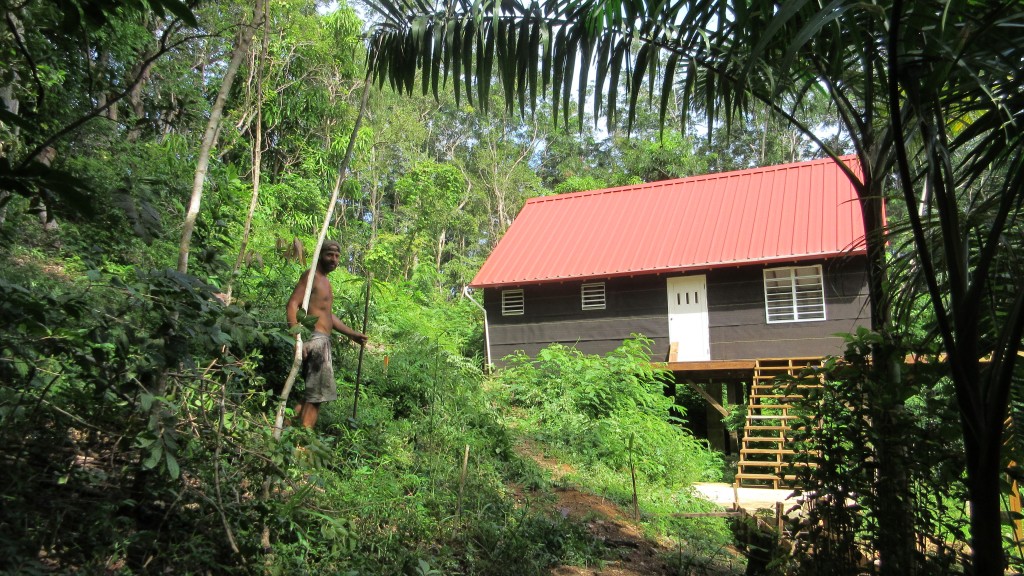 Cabin planting trees