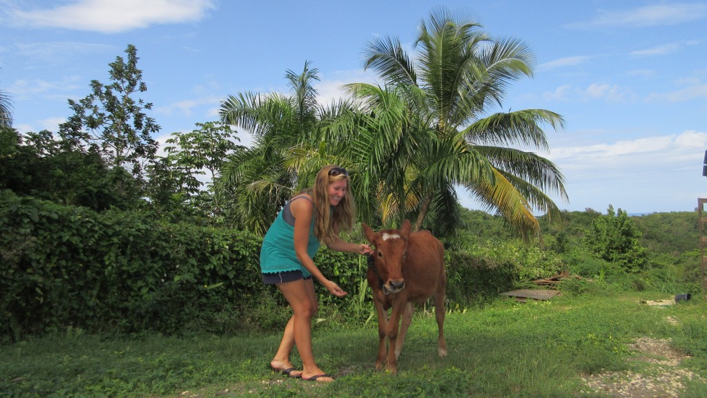 Cassie and Cow