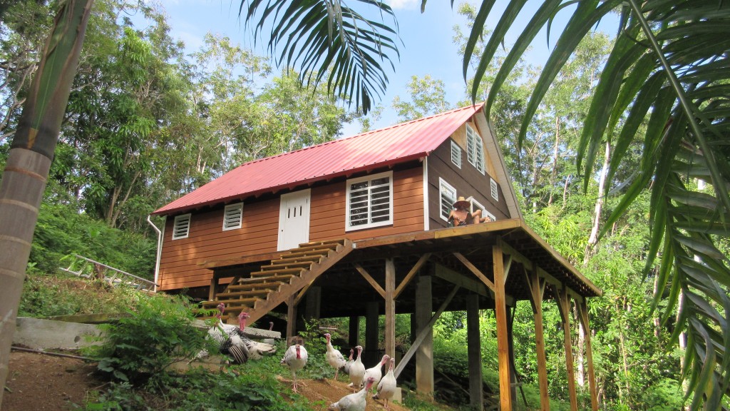 Siding Cabin