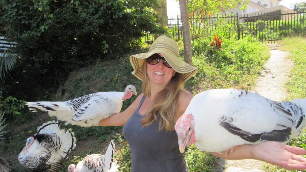 Cassie and Turkeys