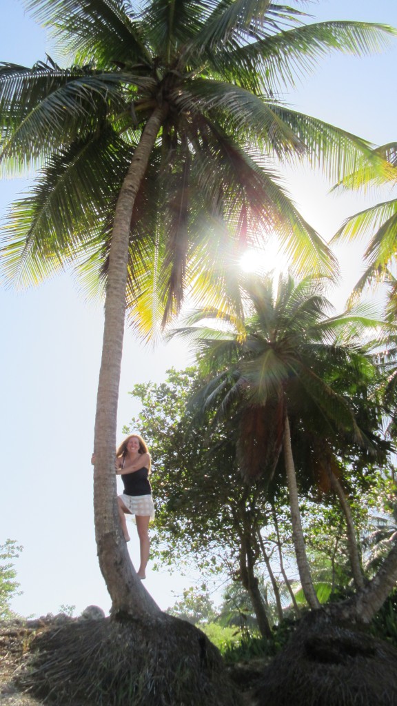 Cassie in a coconut tree