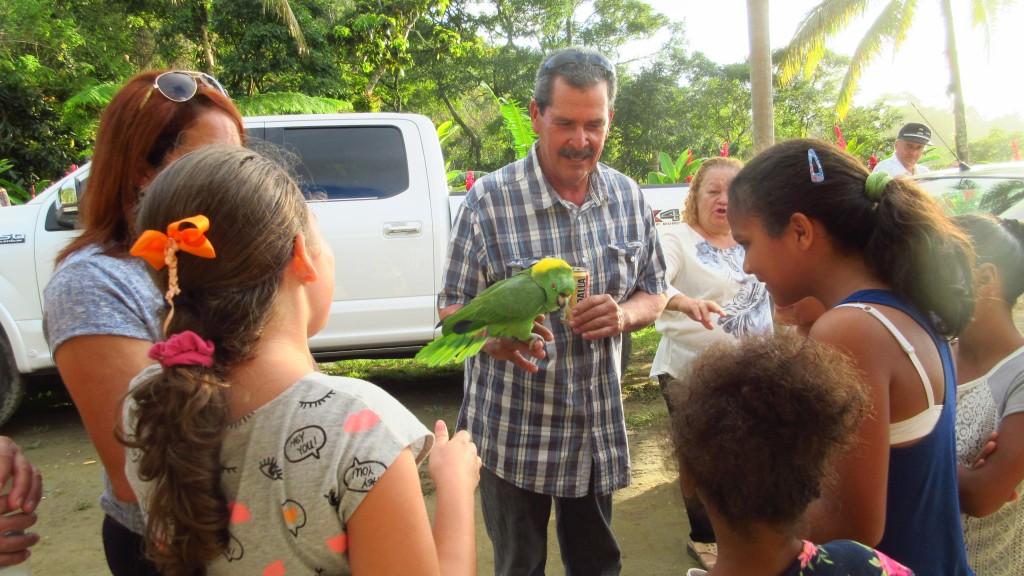 Fun with a parrot