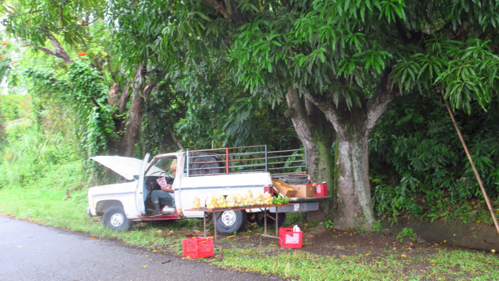 Island scene fruit vendor