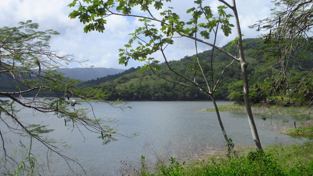 Lake Patillas
