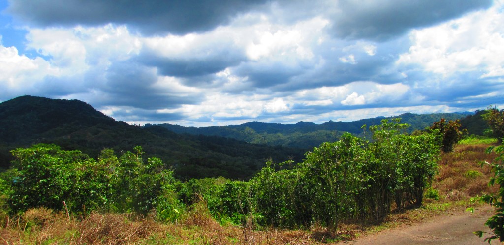 Mountains of Puerto Rico cropped