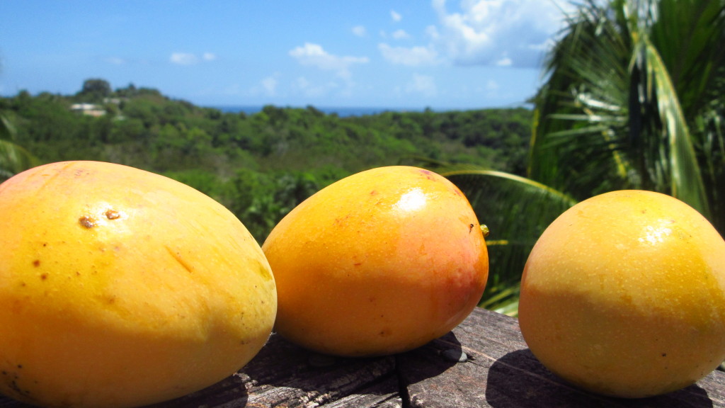 Mangoes and ocean