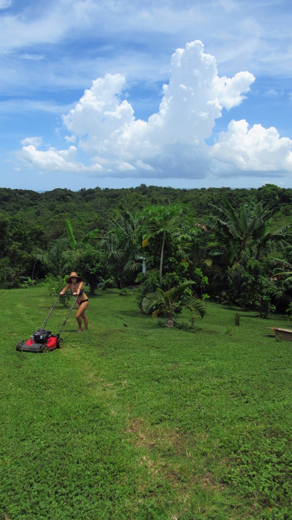 Cassie mowing