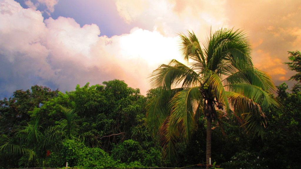 cool-clouds-and-palms