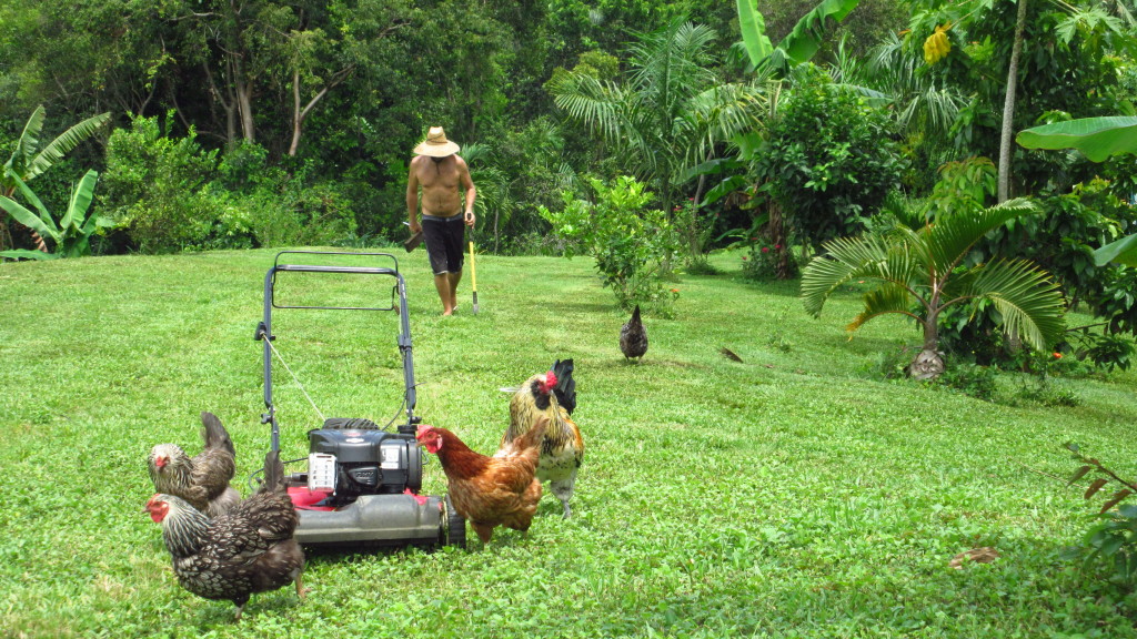 Yard work