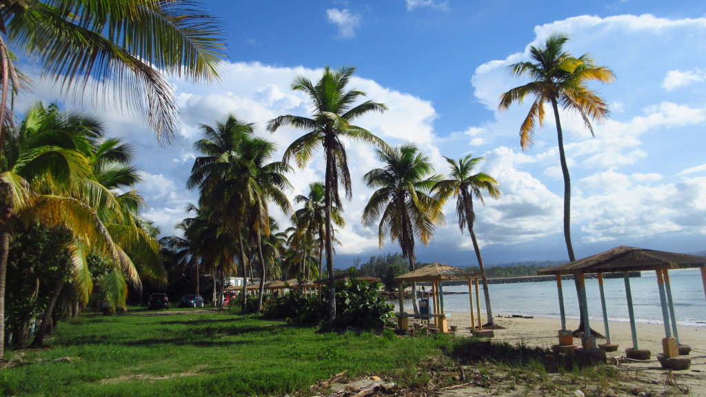 arecibo-beach