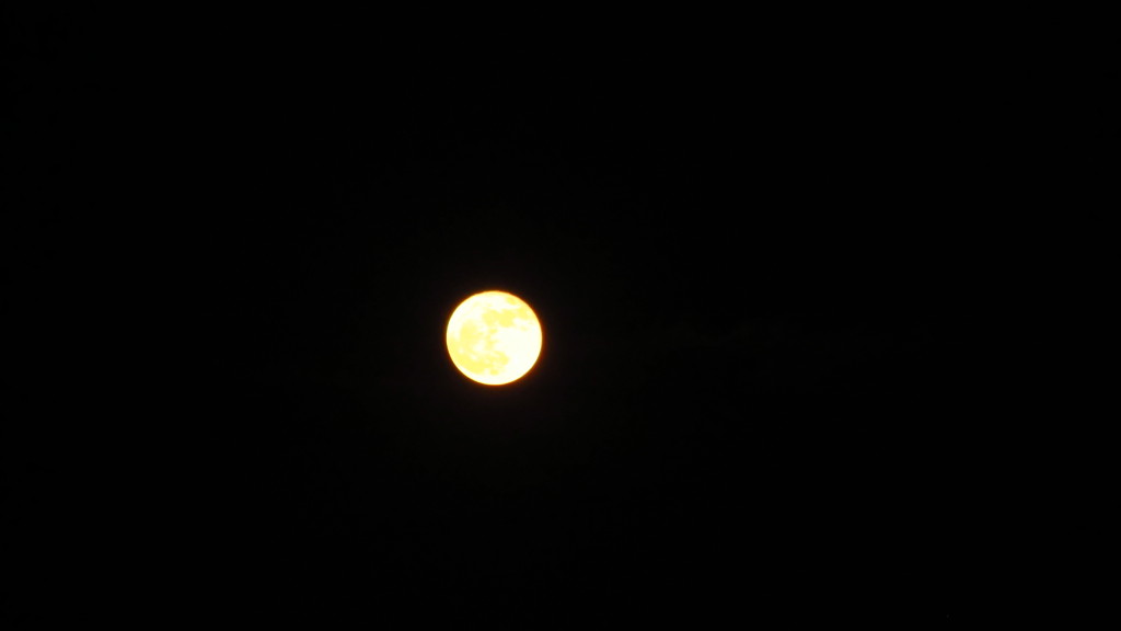 full-moon