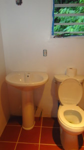 toilet and sink