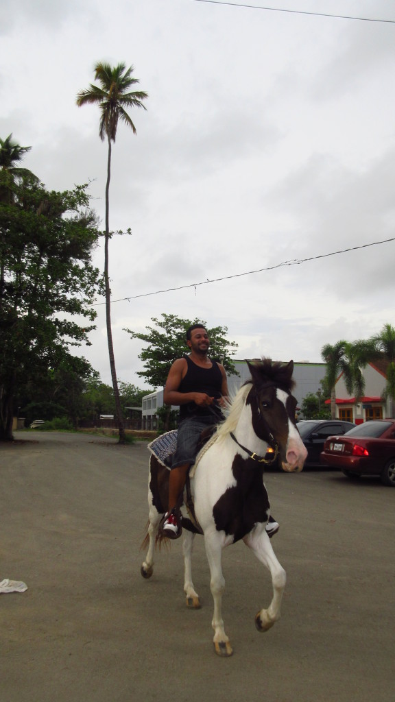 waldemar-on-horse