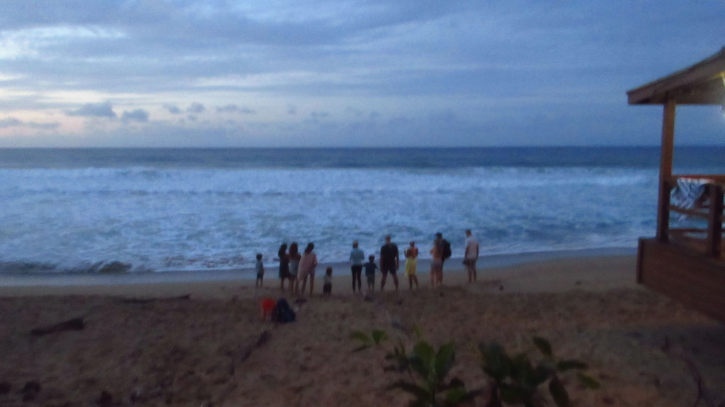 group-at-beach-1