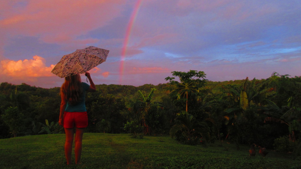 rainy-day-rainbow