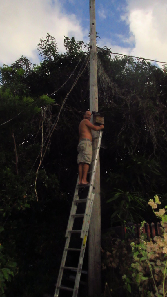 britton-ladder