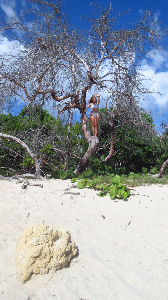 Cassie dead tree