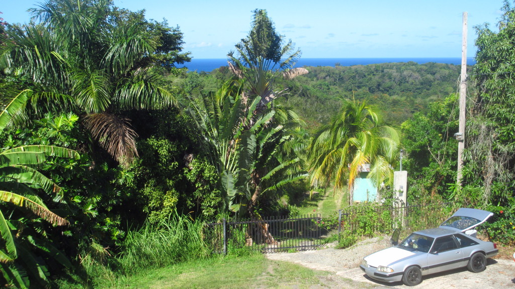 Car and Finca