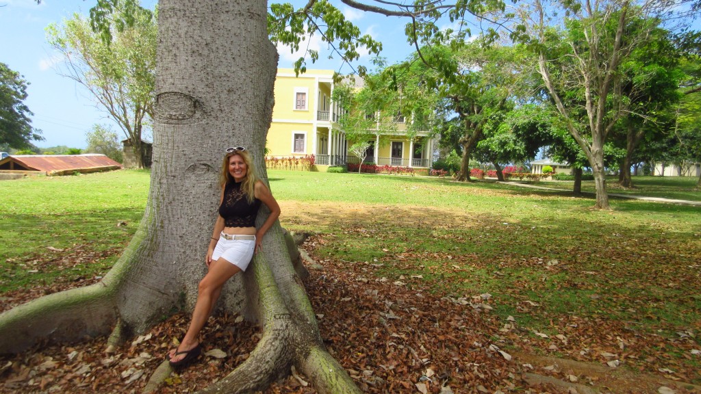 Cassie and Ceiba tree