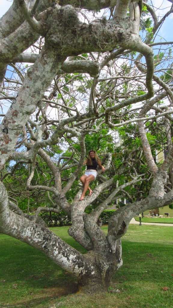 Cool tree cassie