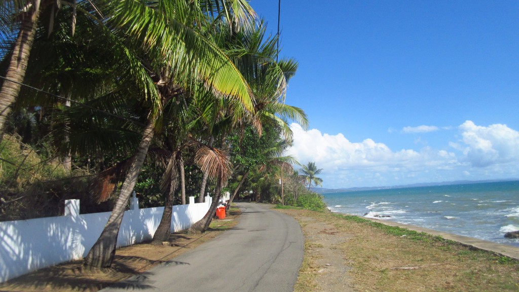 Rincon beach road