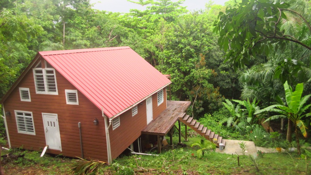 Cabin in the jungle