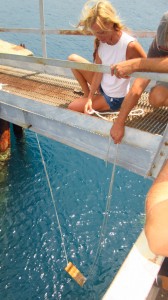 Summer Swing 1