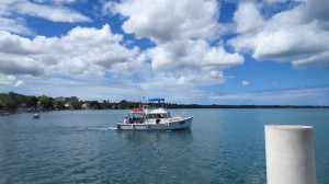 Boat Trip