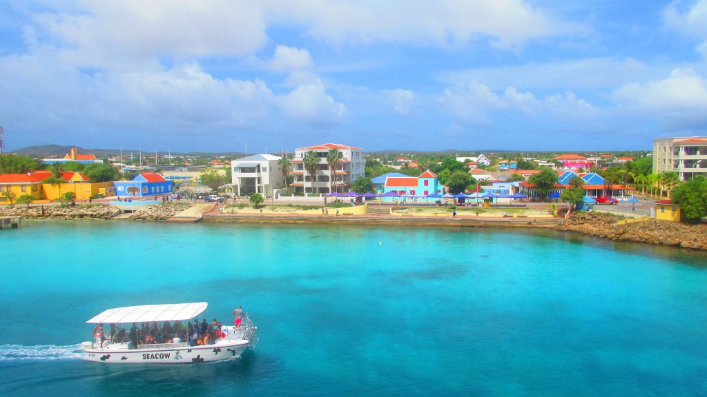 Bonaire sea cow