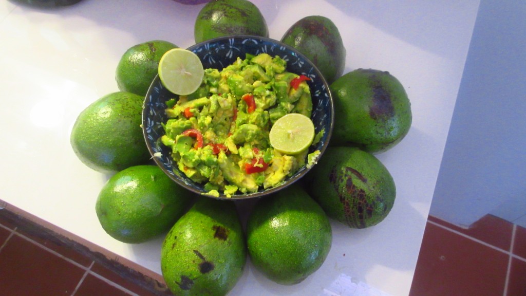 Guacamole