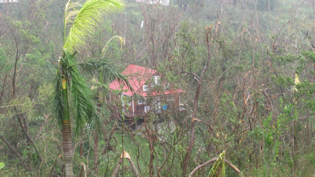 Cabin from above