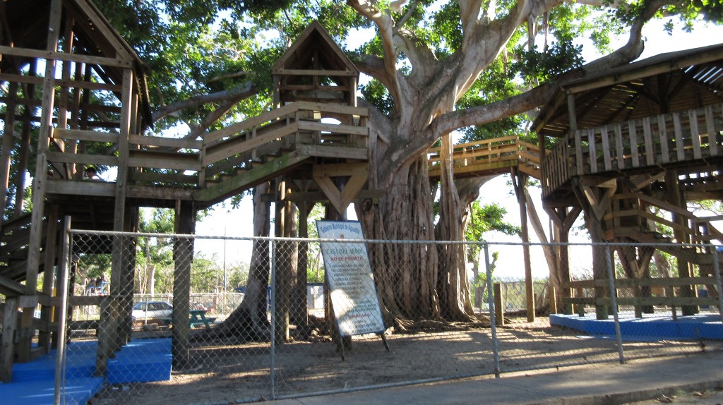 Treehouse wide view