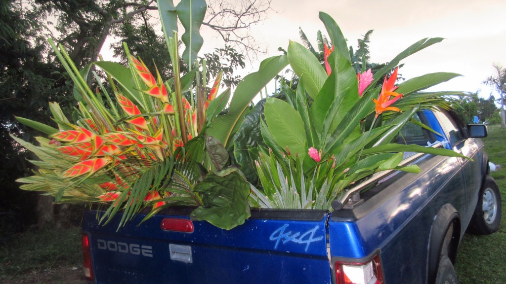 Flower Truck Load