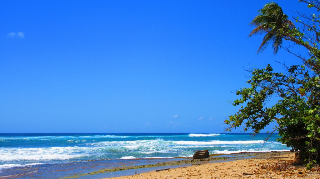 Steps Beach